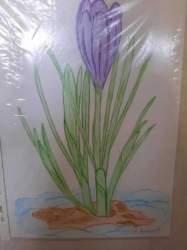 День Землі